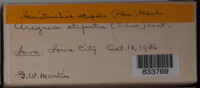 Image Associated With the Occurence